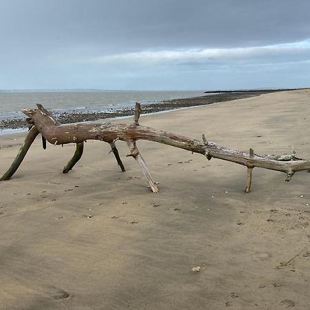 Entre Plage Et Marais Villa Bourcefranc Eksteriør billede