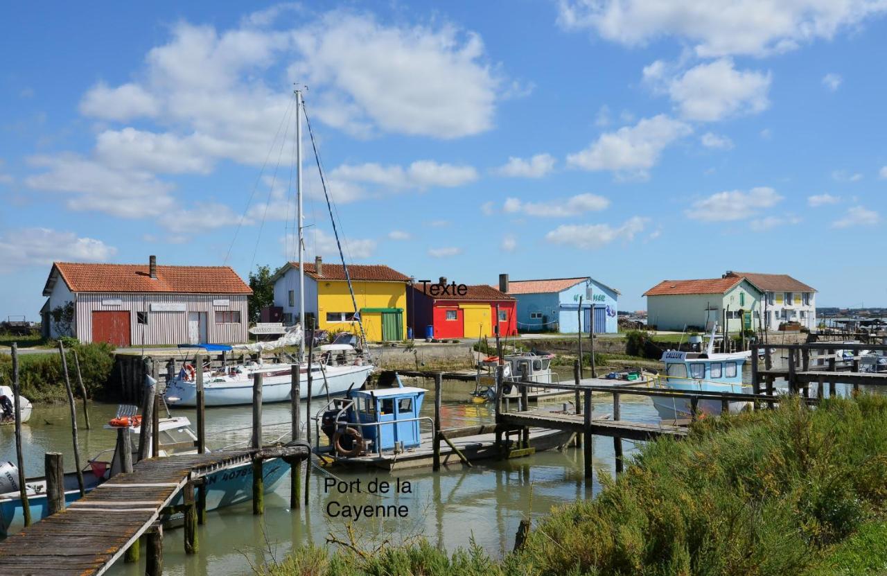 Entre Plage Et Marais Villa Bourcefranc Eksteriør billede